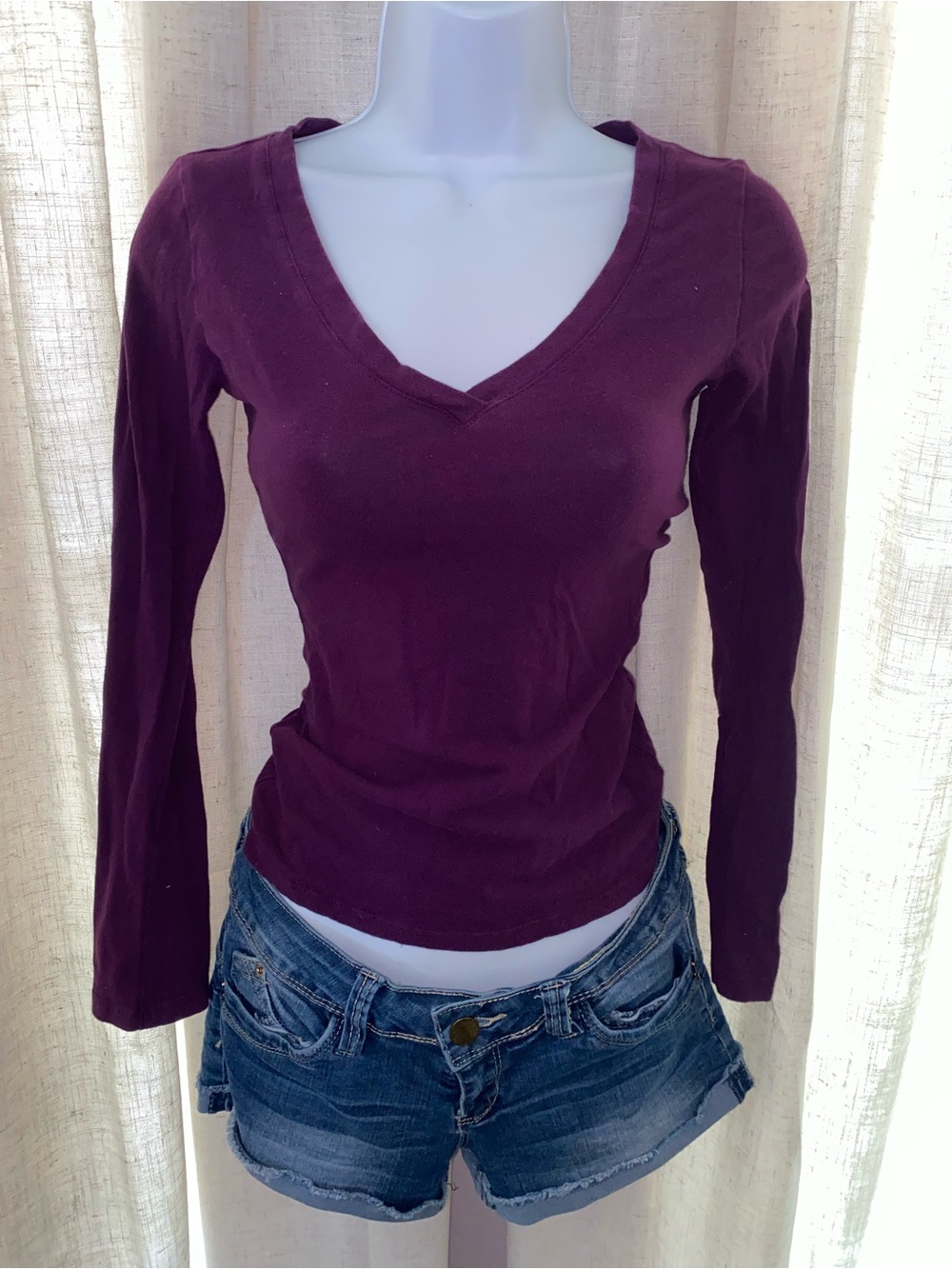 Ambiance V-Neck Long Sleeve Top in Plum
